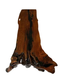 Organic Brutalist Large Tree Root Coffee Table, 1970s